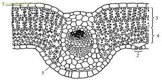 0200kyx4-4053.jpg
