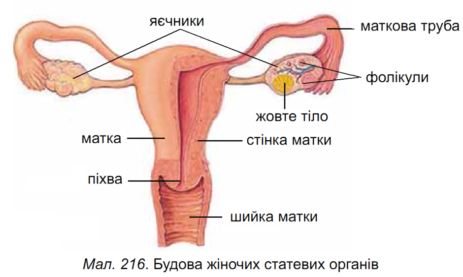 0200l0du-d2ff-940x563.png