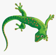 0200l0fi-c11d-187x183.png