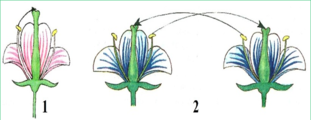 0200l0kr-3830-311x120.png