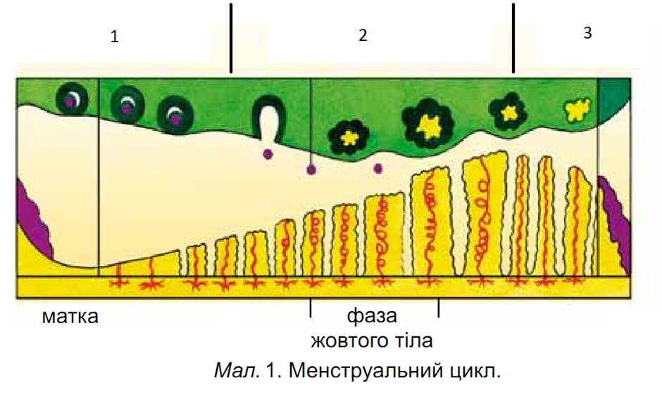 0200l0ms-ecf0-940x591.png