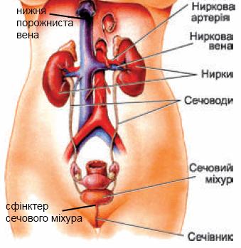 0200l1cb-2e5d-339x349.png