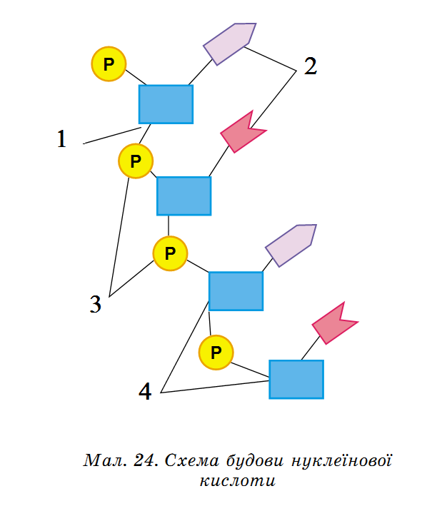 0200l20b-d821.png