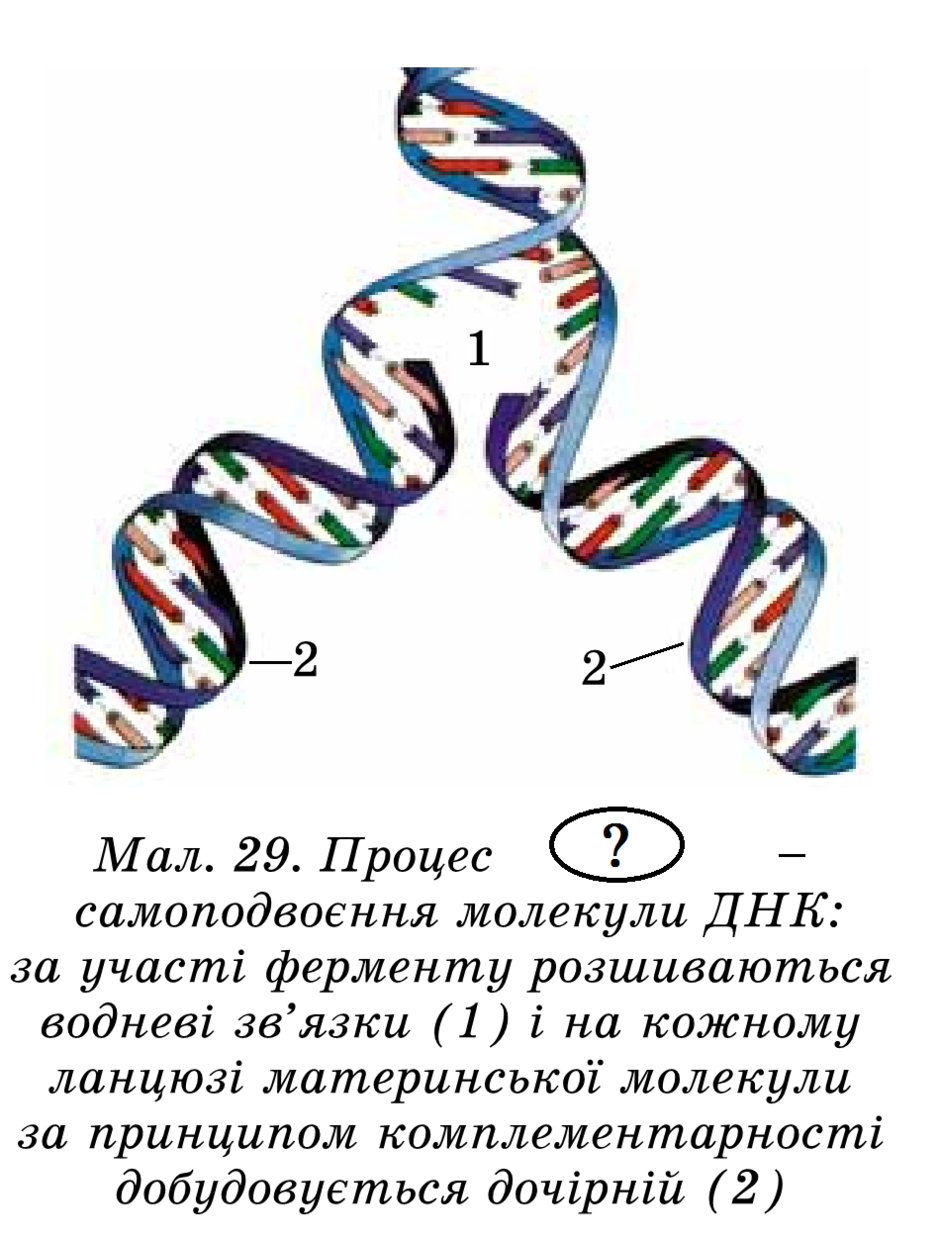 0200l228-3dbb-940x1241.png