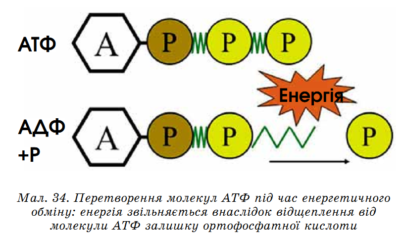 0200l25p-9e35.png