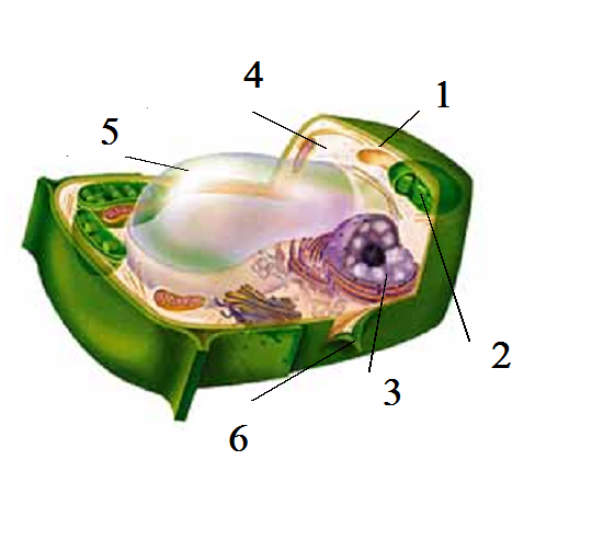 0200l2cu-0bd7.png