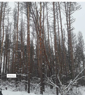 0200l2ul-1526-275x307.png