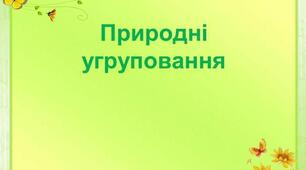 НУШ. Діагностична робота з курсу " Я досліджую світ"  3 клас. Тема: "Природні угруповання"