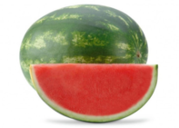 0200l3p1-9e09-197x141.png