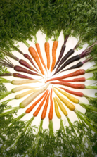 0200l3p8-8eae-138x223.png