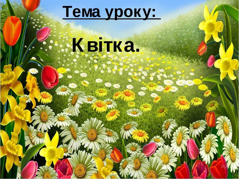 Тема уроку: Квітка.