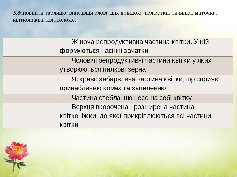 3.Заповнити таблицю, вписавши слова для довідок: пелюстки, тичинка, маточка, квітконіжка, квітколоже.   Жіноча репродуктивна частина квітки. У ній ...