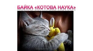 Котова наука