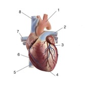 0200l3rq-8d2e-167x167.jpg