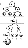 0200l3sq-e81c-148x250.png