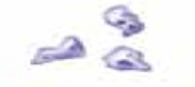 0200l3tq-25d6-195x87.png