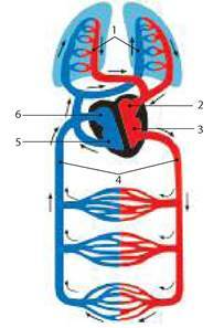 0200l3u9-98fe-203x297.jpg