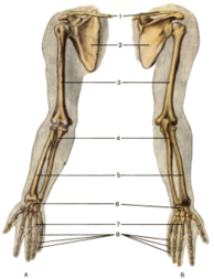 0200l3y1-afdc-194x253.png