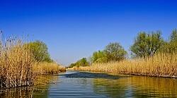 Всесвітній День водно-болотних угідь