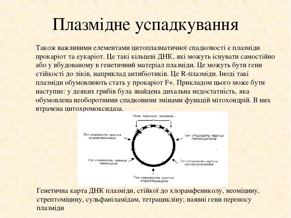 Плазмідне успадкування Також важливими елементами цитоплазматичної спадковості є плазміди прокаріот та еукаріот. Це такі кільцеві ДНК, які можуть і...
