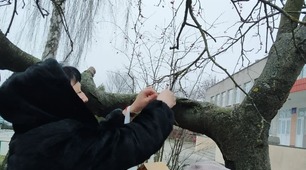 Допоможемо птахам взимку