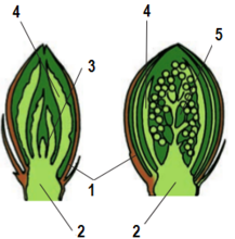 0200la5f-55e8-217x220.png