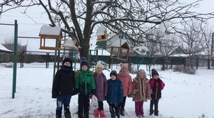 Турбота про птахів