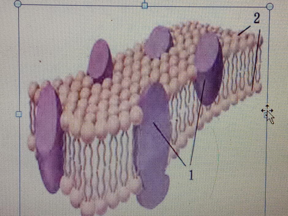 0200lc5n-8814-940x705.jpg