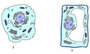 0200lcft-c081-290x174.jpg