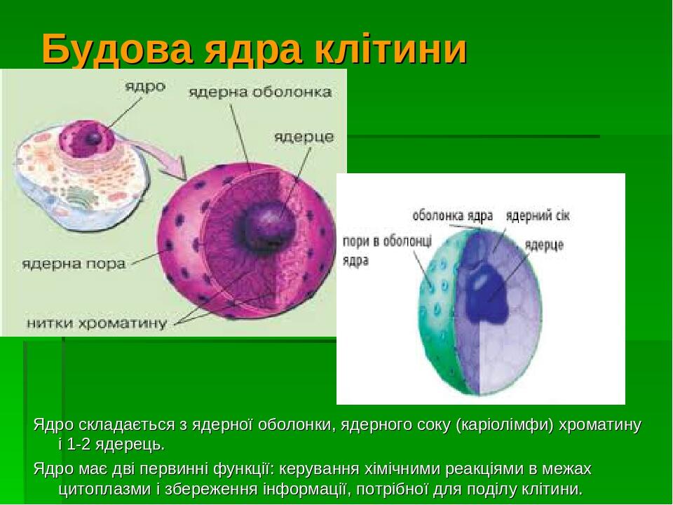 Не работает 1 ядро 4 ядерного процессора