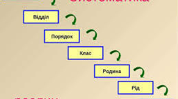 Поняття про класифікацію рослин