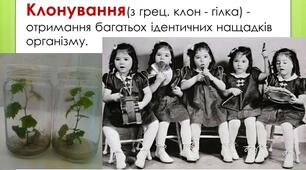 Презентація на тему "Клонування"
