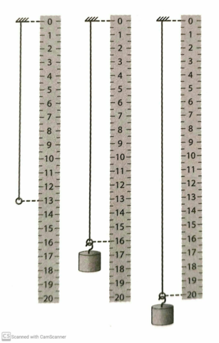 0200lg58-bf24-307x481.png