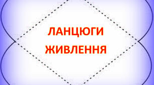 Матеріал на тему * Ланцюги живлення  *
