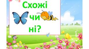 "Схожі чи ні" (презентація-гра)