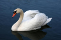 0200ljhx-787c-195x130.png