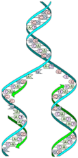 0200lji2-a0fe-114x230.png