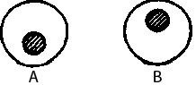 0200ljlt-0429.png