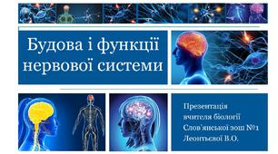 Презентація на тему "Будова і функції нервової системи"