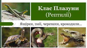 Презентація на тему "Загальна характеристика плазунів"