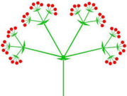 0200lmxa-c721-179x135.png