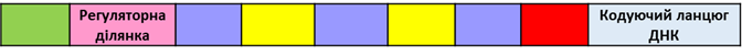 0200lnoj-2ca3.png