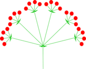 0200lnsi-dcc5-171x137.png