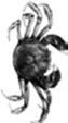 0200lsk4-a0d1.png