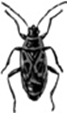 0200lsk6-274d.png