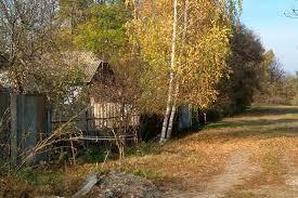 0200lslk-bd60.jpg
