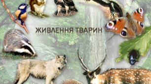 Живлення тварин