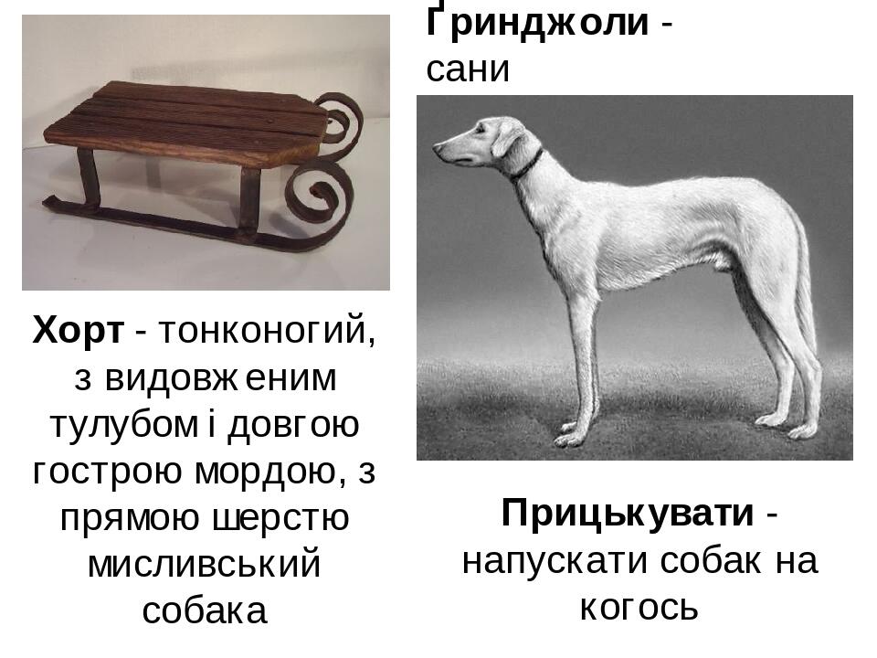 Ґринджоли - сани Хорт - тонконогий, з видовженим тулубом і довгою гострою мордою, з прямою шерстю мисливський собака Прицькувати - напускати собак ...
