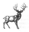 0200lyv2-e643.jpg