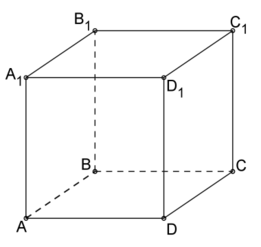 0200lyx2-4294.png